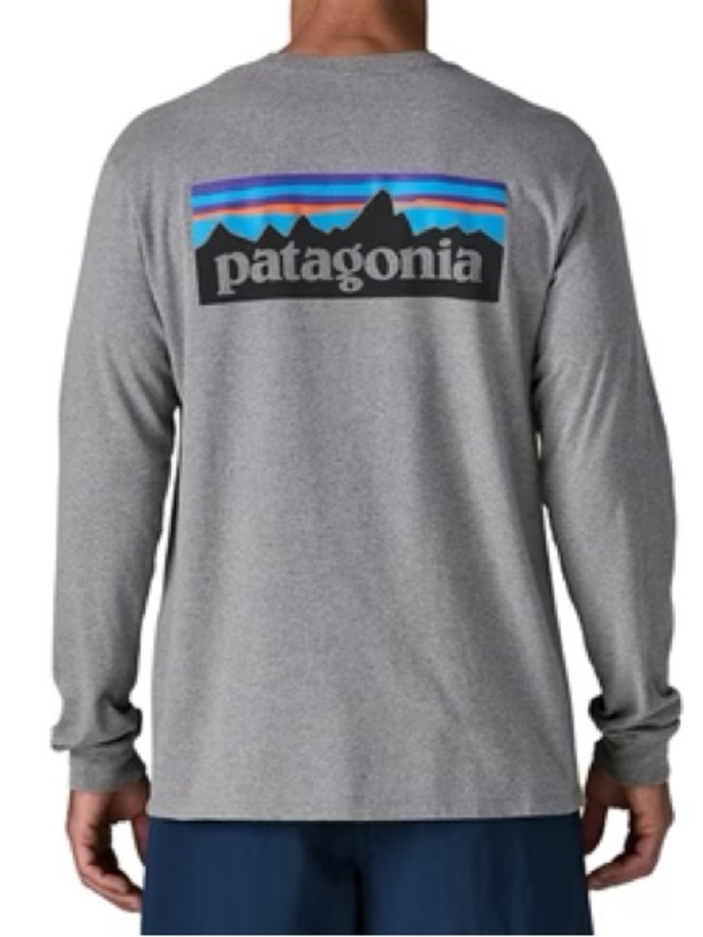 Patagonia Men's Long-Sleeve Logo Tee - Gray XS